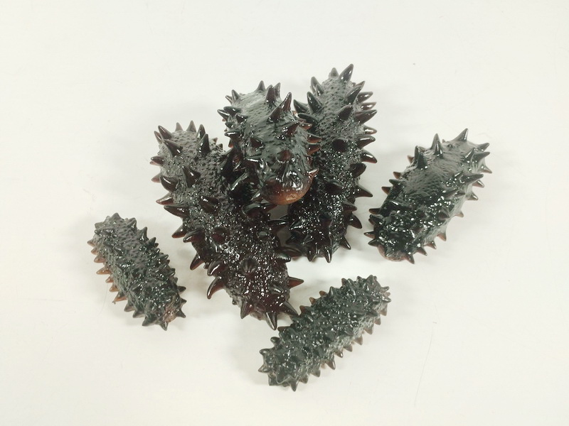 pepino mar pescado ficticio japon asia l 7.8-11-14.5 2u